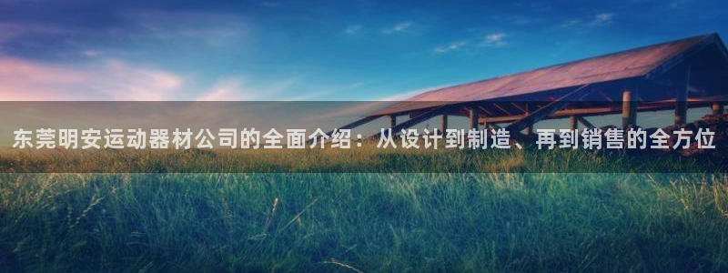 fb体育软件:东莞明安运动器材公司的全面介绍:从设计到制造、