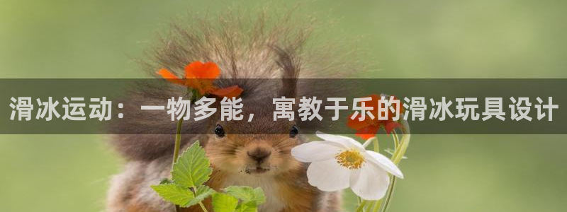 fb体育是干嘛的公司:滑冰运动:一物多能,寓教于乐的滑冰玩具