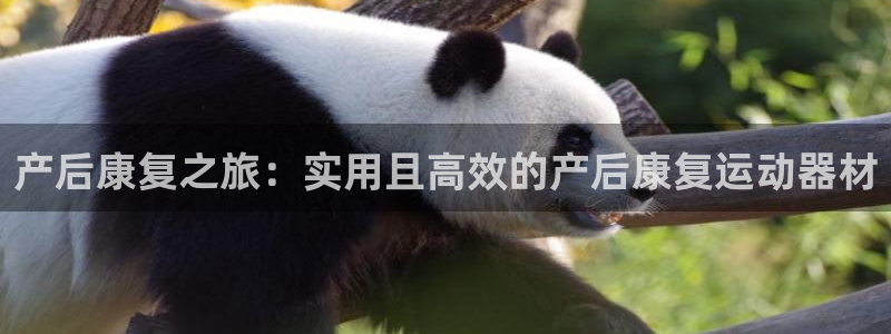 fb体育联系电话:产后康复之旅:实用且高效的产后康复运动器材